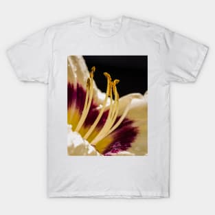 Daylilly Close-up 11 T-Shirt